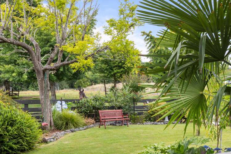 62 River View Road Morrinsville_22