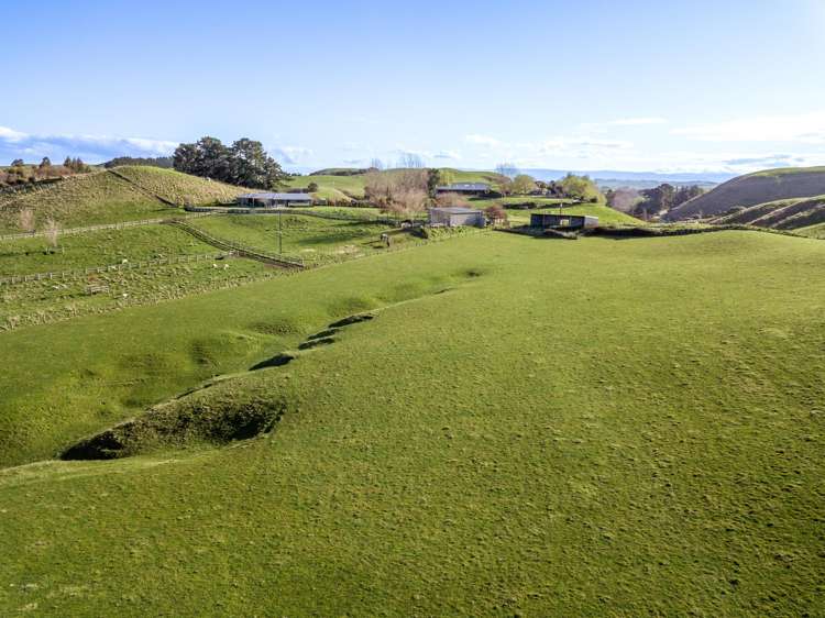 Lot Lots 1&2 Taihape Road Sherenden_5