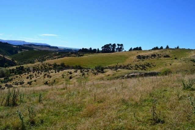 West Maerewhenua Road North Otago Surrounds_3