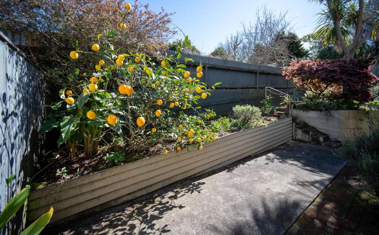 3/215a Hampden Terrace Nelson South_20