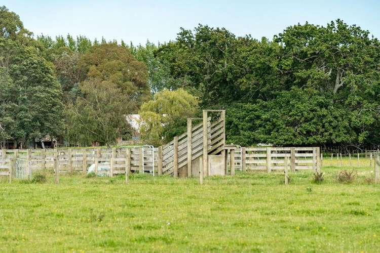 72 Taumata Island Road Taumata Island_14