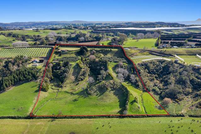 333 Paerata Ridge Road Opotiki and Surrounds_2