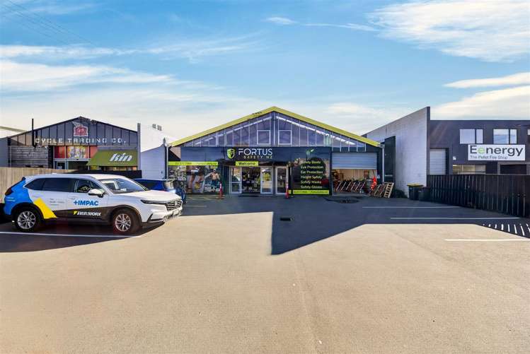 27 Elgin Street Sydenham_13