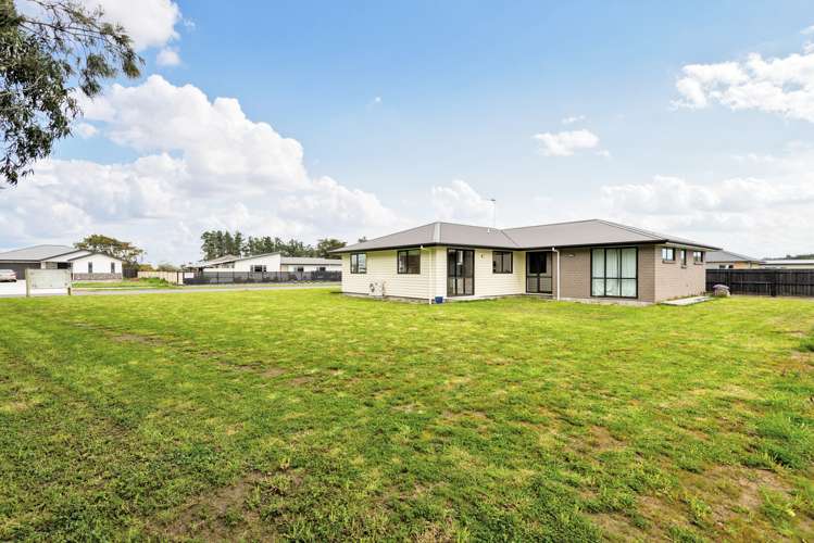 4 George Street Bulls_6