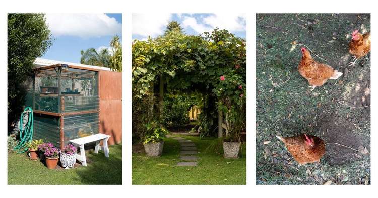 14 Beach Grove Omokoroa_22