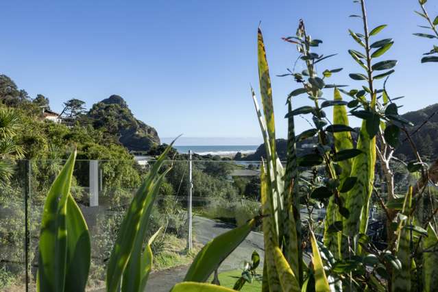 22 Beach Valley Road Piha_2