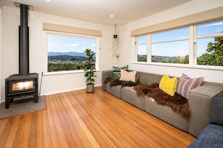 15a Hoggard Street Vogeltown_4