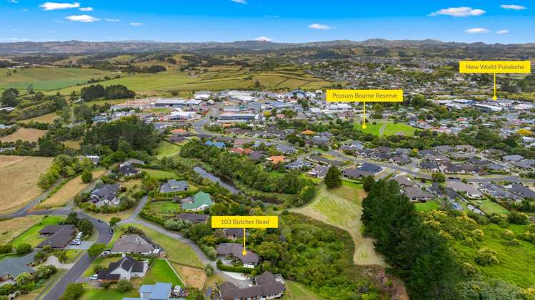 103 Butcher Road Pukekohe_4