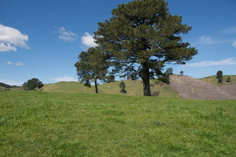 44 Coates Road Waikite Valley_14