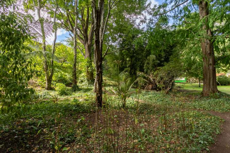 100 Leinster Avenue Raumati South_24