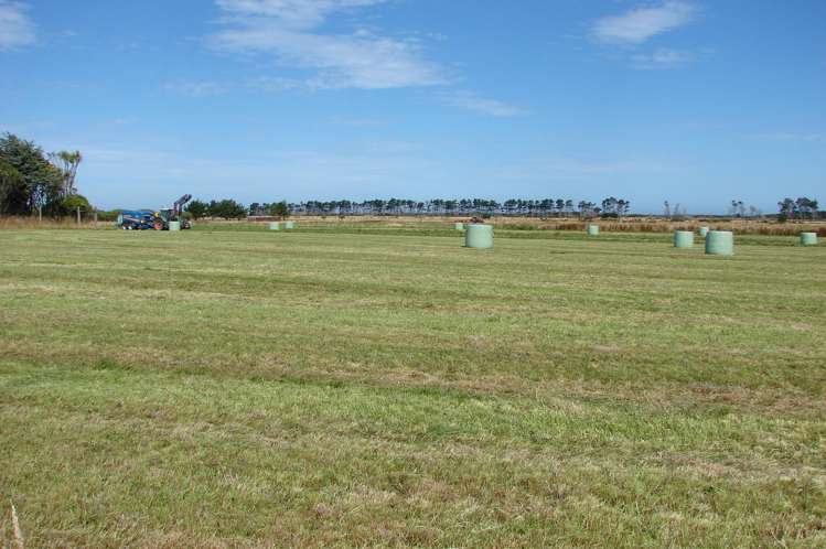 194 Talls Road Gorge Road_8