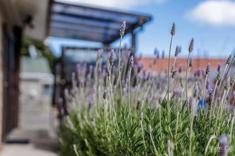 93B Heads Road Gonville_25