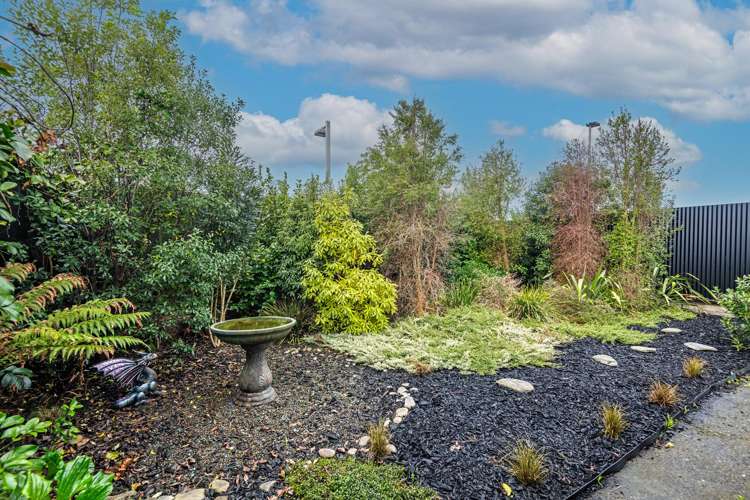 44 Holland Crescent Bulls_7