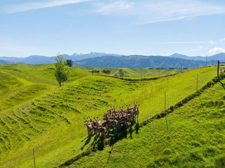 600 Neudorf Road Upper Moutere_32