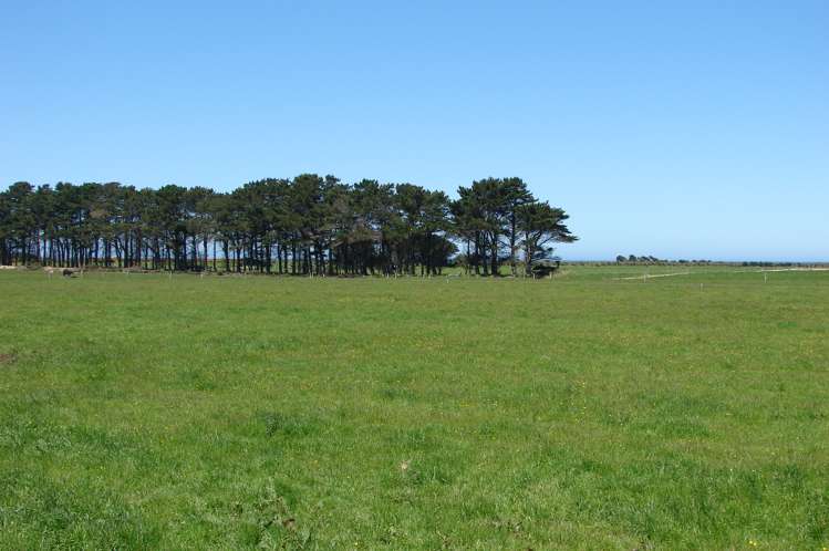 997 Waituna Lagoon Road Wyndham Surrounds_13