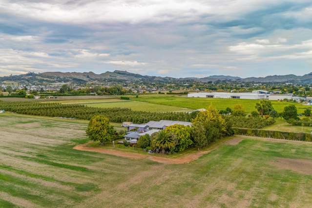 252 Napier Road Havelock North_2