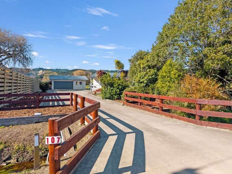 107 Paul Road Te Teko_1