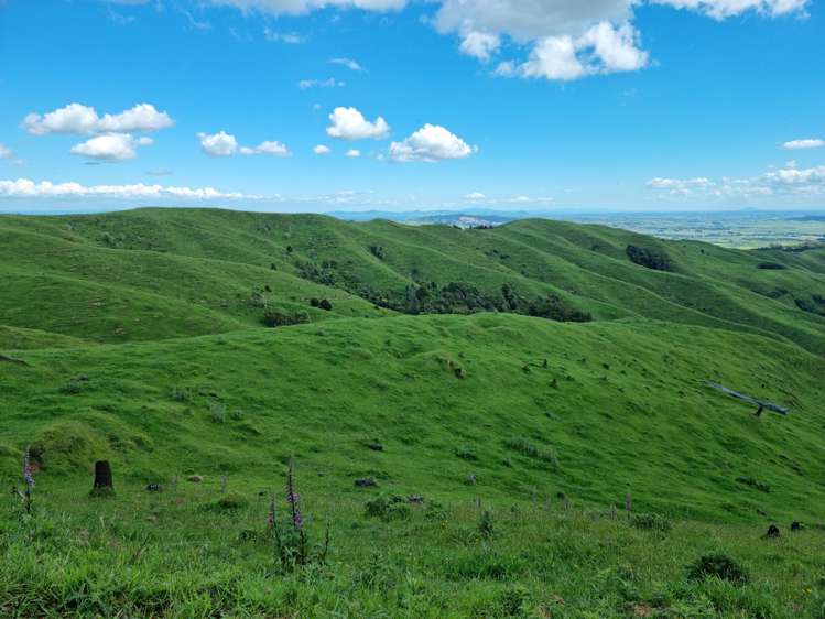 852 Mangawara Road Tahuna_19