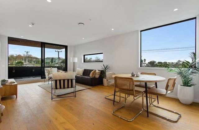 64 Victoria Street Warkworth_1