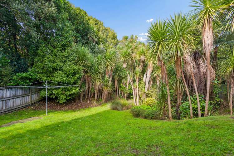 35A Tiverton Road Avondale_15