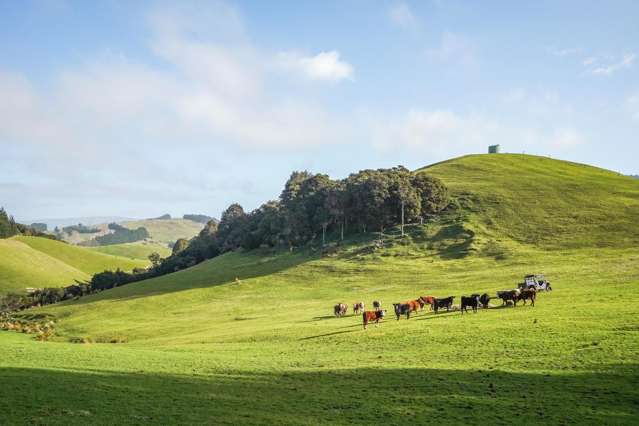 782 Glendhu Road Greta Valley_2