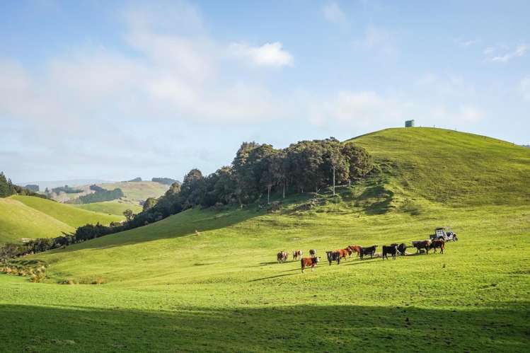 782 Glendhu Road Greta Valley_2