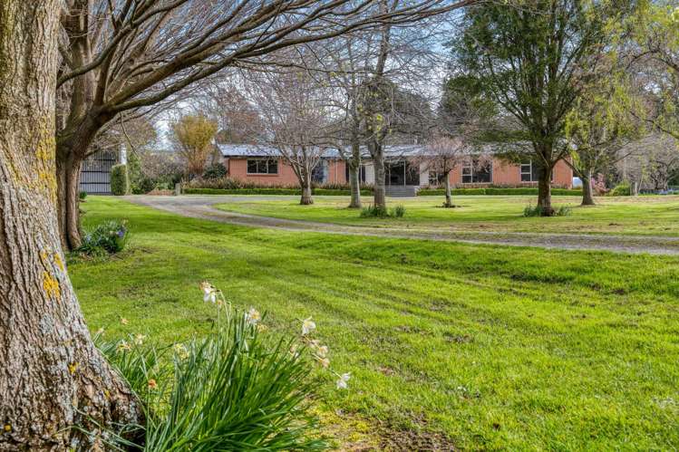 3660 Waipahi Highway Wairuna_32