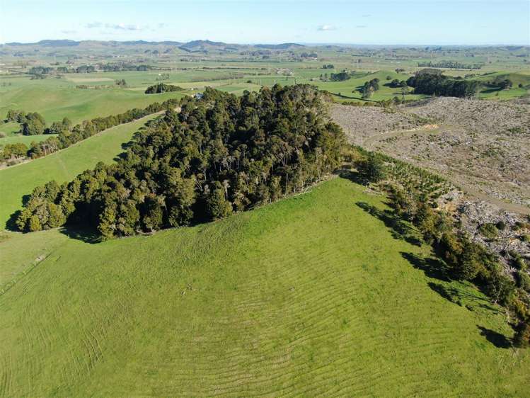 52 Kopuku Road Waerenga_15