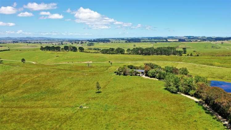 233 Tatarariki Spur Road Te Kopuru_24