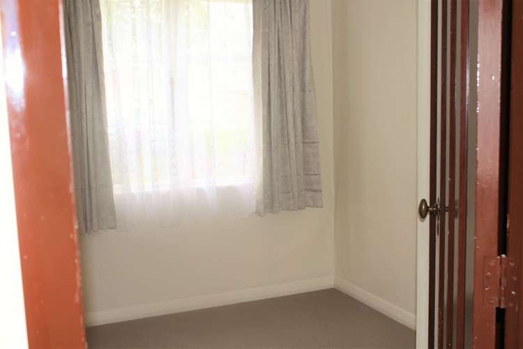 29 Cadman Avenue Greenlane_5