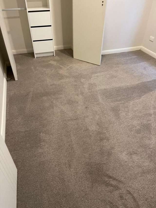 69 Rashni Road Flat Bush_1