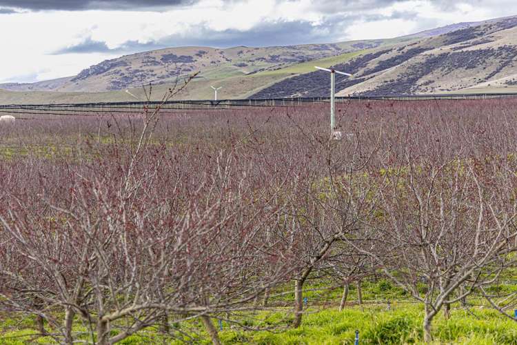 159 Thomson Gorge Road Cromwell_10