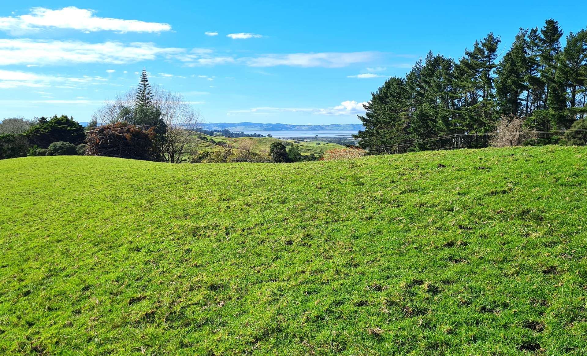 80 Wilson Road, South Head Helensville_0