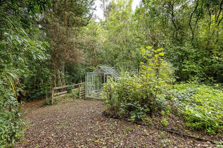 17 Tui Street Saint Leonards_25