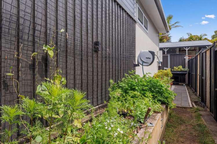 50A D'Oyly Drive Stanmore Bay_48