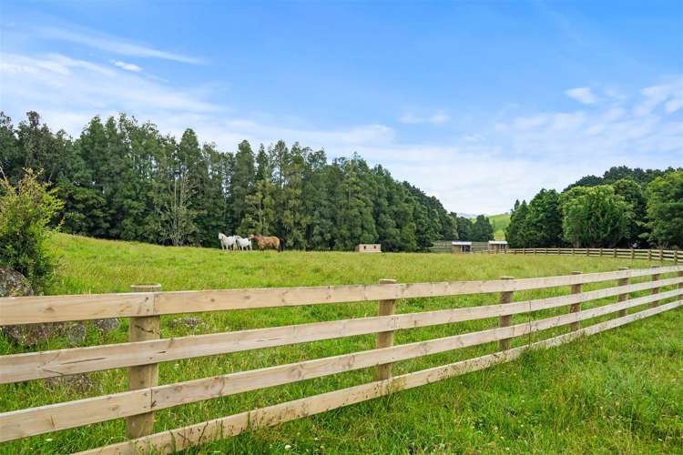 120 Springs Road Poroti_17