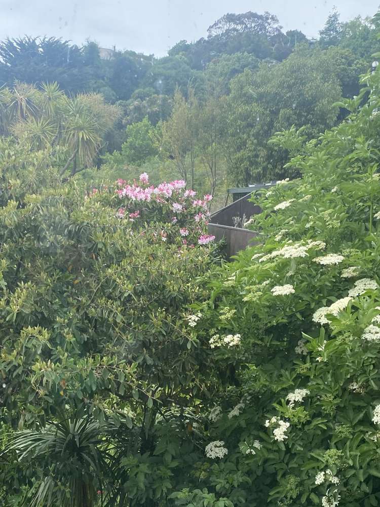 17 Aotea Terrace Huntsbury_25