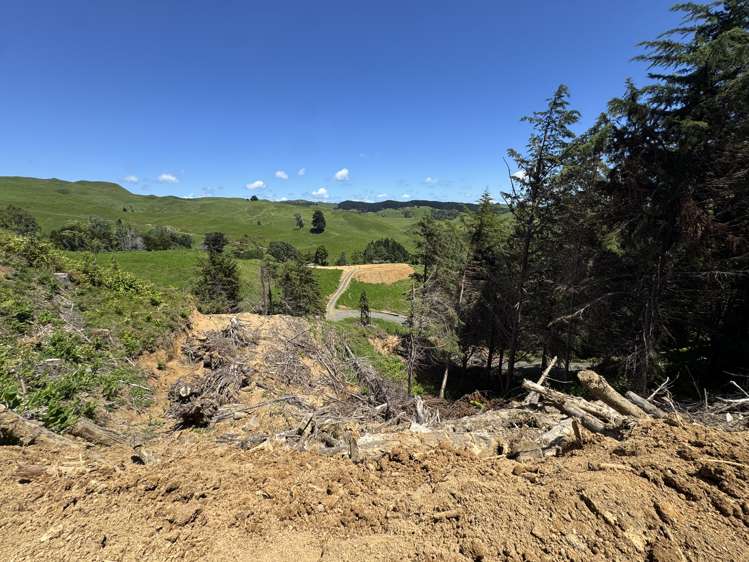 Lot 3 Brown Road Kawhia_8