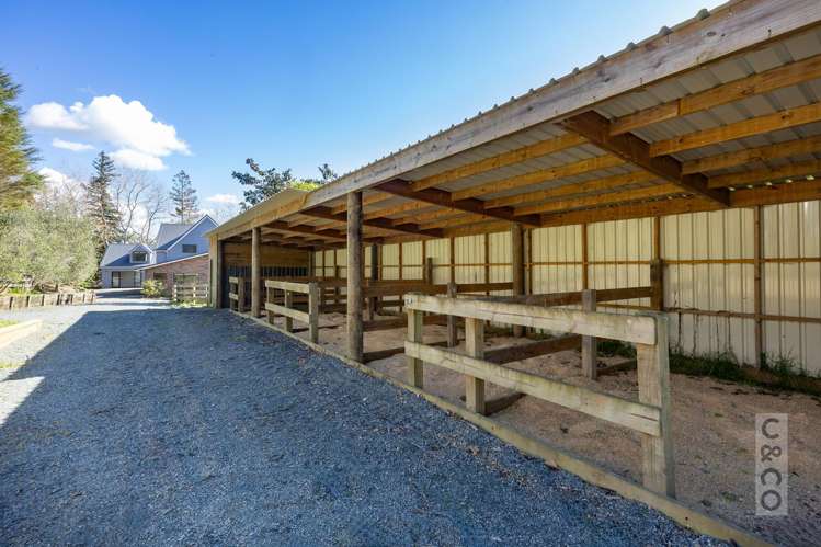 46 Potter Road Dairy Flat_31