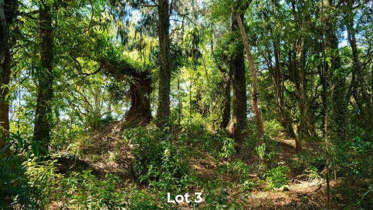 Lot 1 & 2/DP570510 Oturoa Road Hamurana_9