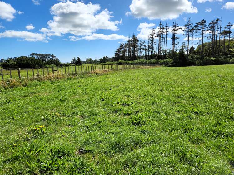 Lot 1 Te Arei Road West Lepperton_3