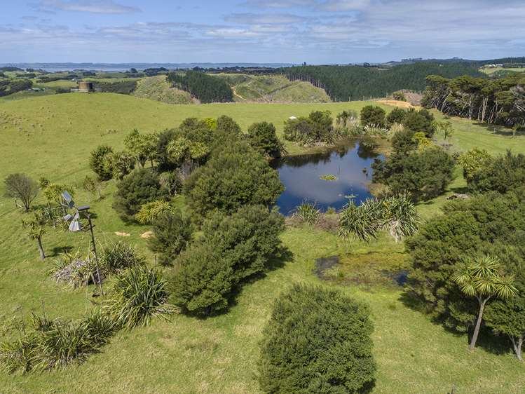 156 Te Kanae Road, South Head Helensville_14