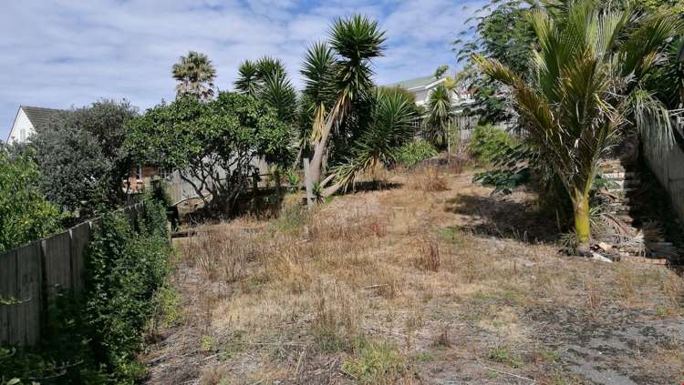 5b Boyd Avenue Royal Oak_5