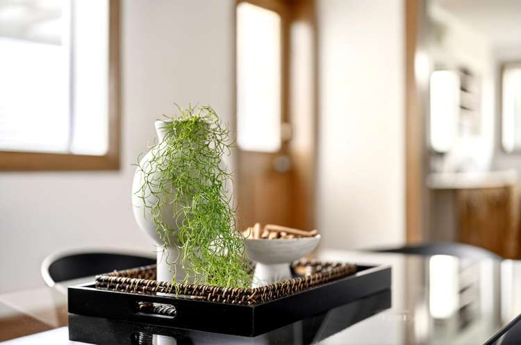 69 Holloway Street Carterton_10