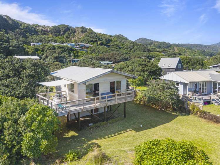 36 North Piha Road Piha_4