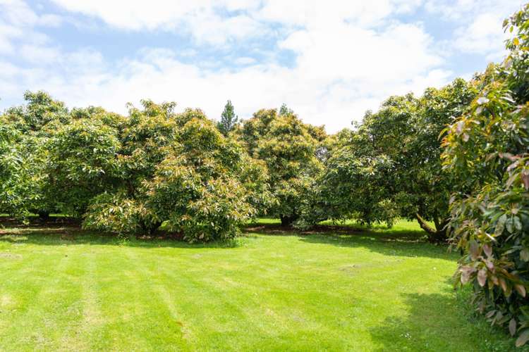 42 Elmwood Road Aongatete_25