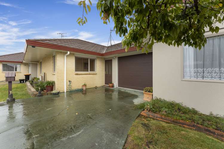 3 Foxtail Fern Kelvin Grove_15
