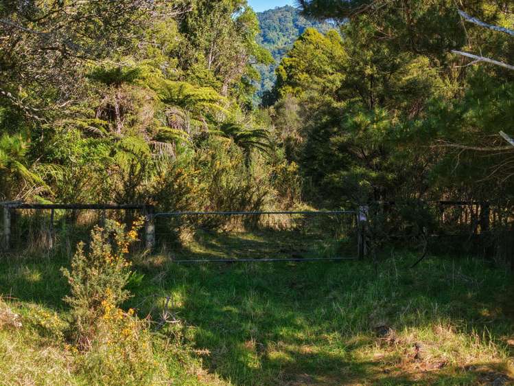Otangaroa Road Mangamuka_7