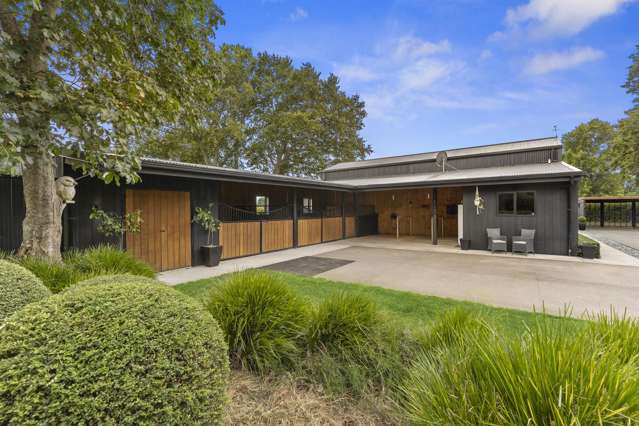 1/347 Racecourse Road Cambridge_1