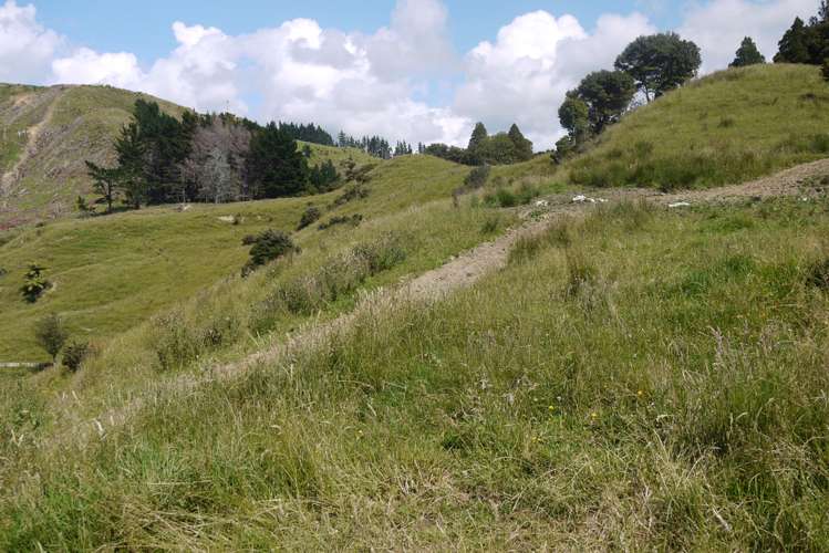 121 Guy Road Kaipara Flats_21